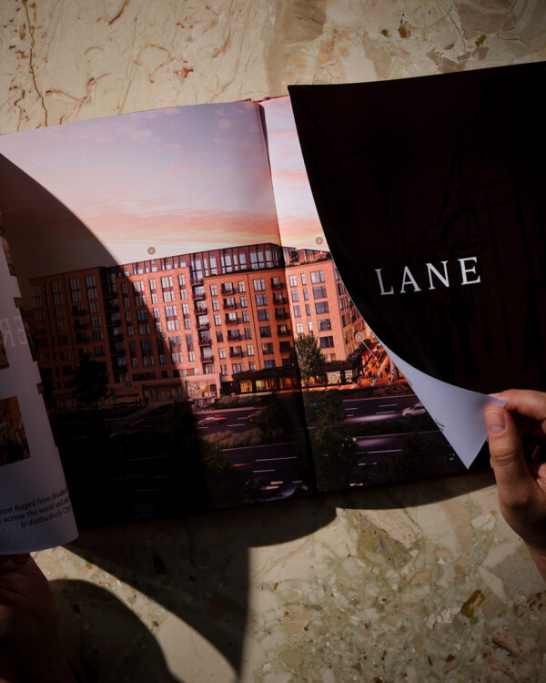 Cherry Lane Branding